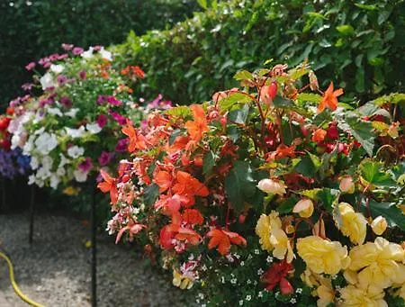 温莎食宿酒店 德罗赫达