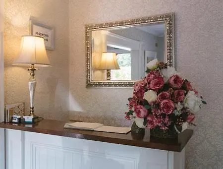 Windsor דרוגדה