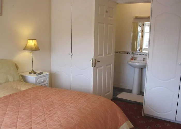 B&B Windsor 드로이다